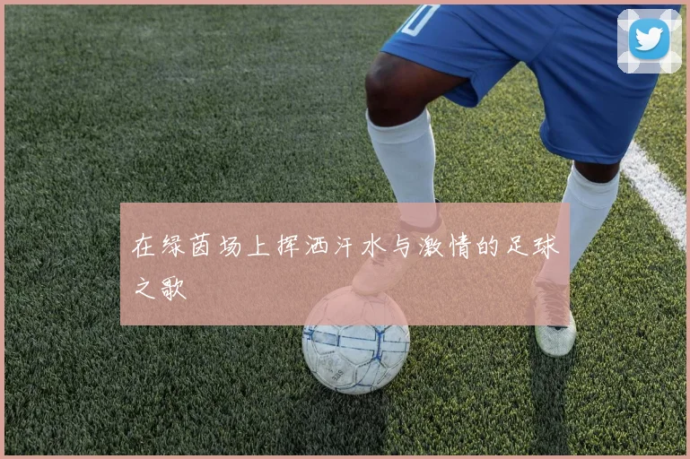 在绿茵场上挥洒汗水与激情的足球之歌